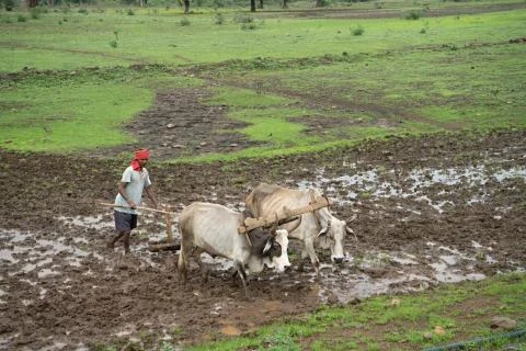 Indický venkov, Madjapradéš, Narmada parikrama